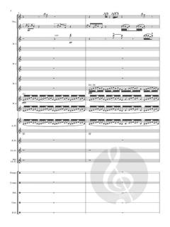 Pachamama von José Carlos H. Alarcón 