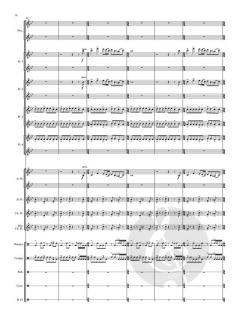 Pachamama von José Carlos H. Alarcón 