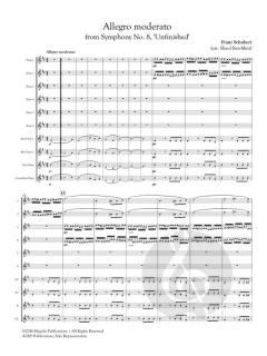 Allegro Moderato von Franz Schubert 