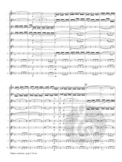 Allegro Moderato von Franz Schubert 