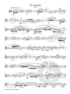 Metamorphosis Suite von Arturo Rodriguez 