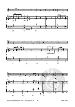 The Finishing Touch von Johan Nijs 