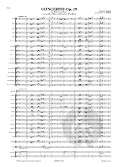 Concerto op. 29 von Theo Van Doren 