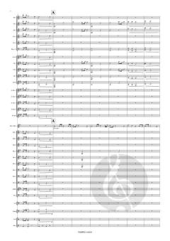 Concerto op. 29 von Theo Van Doren 