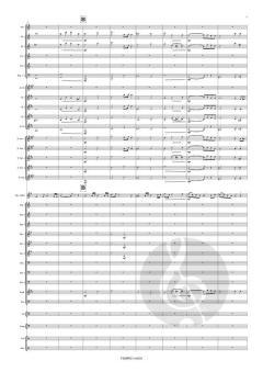 Concerto op. 29 von Theo Van Doren 