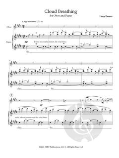Cloud Breathing von Larry Barnes 