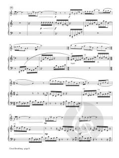 Cloud Breathing von Larry Barnes 