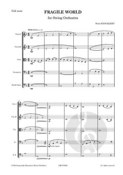 Fragile World von Peter Knockaert 