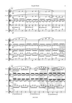 Fragile World von Peter Knockaert 