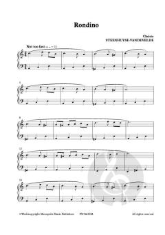 Rondino von Christa Steenhuyse-Vandevelde 