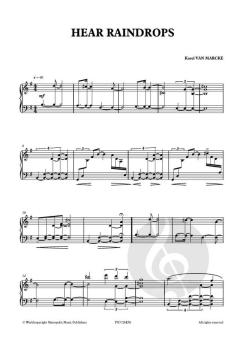 Hear Raindrops von Karel van Marcke 