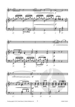 Piece of Cake von Johan Nijs 