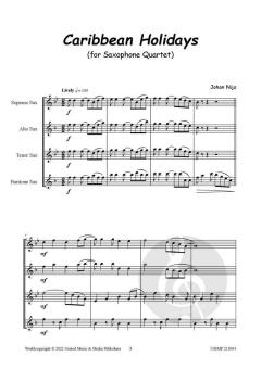 Caribbean Holidays von Johan Nijs 