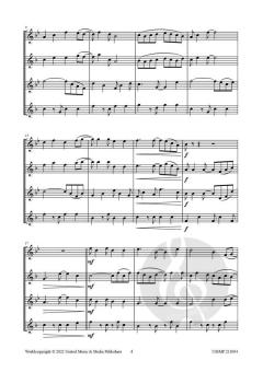 Caribbean Holidays von Johan Nijs 