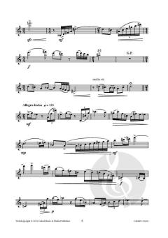 Saxatina von Johan Nijs 