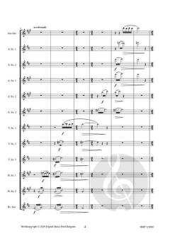 Skalldiz von Raoul De Smet 