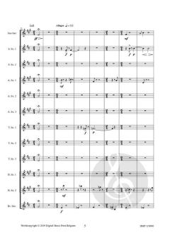 Skalldiz von Raoul De Smet 