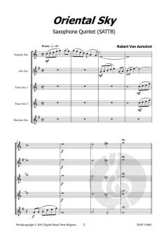 Oriental Sky von Robert Van Aerschot 