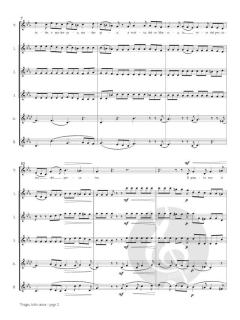 Vergin Tutto Amor von Francesco Durante 