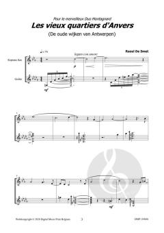 Les Vieux Quartiers d'Anvers von Raoul De Smet 