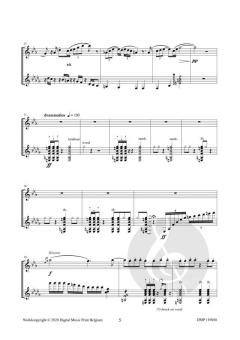 Les Vieux Quartiers d'Anvers von Raoul De Smet 