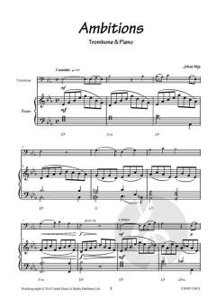 Ambitions von Johan Nijs 