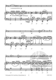 Ambitions von Johan Nijs 