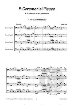 5 Ceremonial Pieces von Johan Nijs 