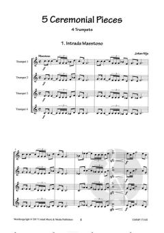 5 Ceremonial Pieces von Johan Nijs 