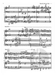 Taschyag von Paul Schoenfeld 