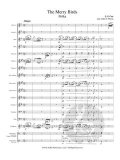 The Merry Birds von John Cox 