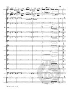 The Merry Birds von John Cox 