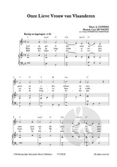 Onze Lieve Vrouw van Vlaand'ren von Lodewijk de Vocht 