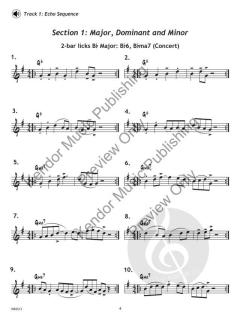 Lick Library - Alto & Bari Sax von Peter Blair 