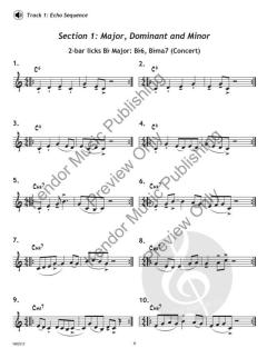 Lick Library - Trumpet/Clarinet von Peter Blair 