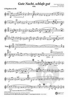 Gute Nacht, schlafe gut von Ernst Mosch 