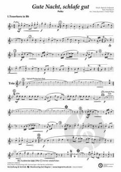 Gute Nacht, schlafe gut von Ernst Mosch 