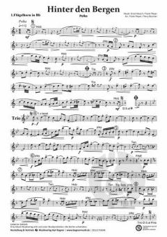 Hinter den Bergen von Ernst Mosch 