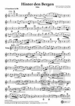 Hinter den Bergen von Ernst Mosch 