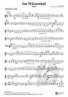 Im Wiesental von Ernst Mosch 