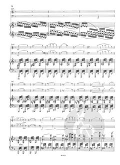 Trio d-moll op. 11 von Fanny Hensel 