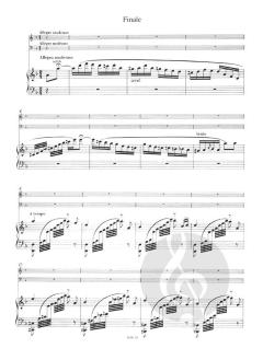 Trio d-moll op. 11 von Fanny Hensel 