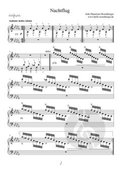 Nachtflug von Julia Hannelore Rosenberger (Download) 