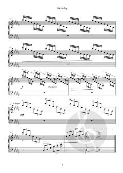 Nachtflug von Julia Hannelore Rosenberger (Download) 