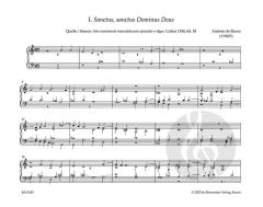 Portugiesische Orgelmusik 1540–1834 