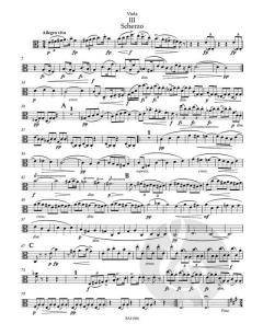 Streichquartett Nr. 11 C-Dur op. 61 von Antonín Dvořák 