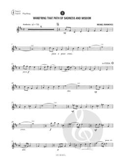 Jazzy Violin 2  von Michael Radanovics 