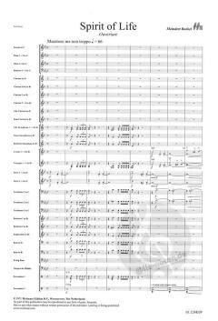 Spirit Of Life von Meindert Boekel 