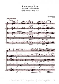 Les oiseaux fous (2015) von Vivienne Olive 