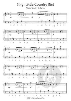 Country Music - Easy Country Songs von Geoffrey D. Barlow 